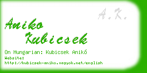 aniko kubicsek business card