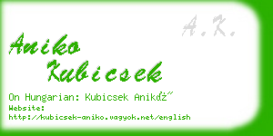 aniko kubicsek business card